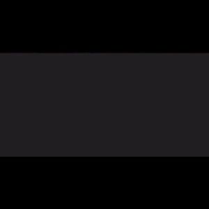 Meet your Posher, Lil